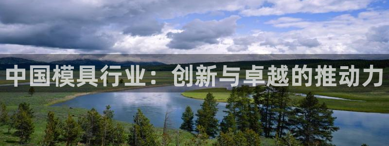太阳成集团tyc234cc[主页]：中国模具行业：创新与卓越的推动力