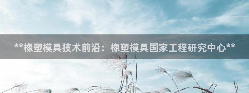 太阳成集团lougo图片：**橡塑模具技术前沿：橡塑模具国家工程研究中心**
