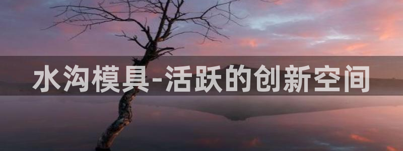 太阳科技集团：水沟模具-活跃的创新空间