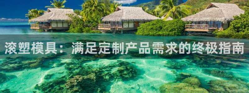 太阳成集团tyc234cc投资控股集团：滚塑模具：满足定制产品需求的终极指南