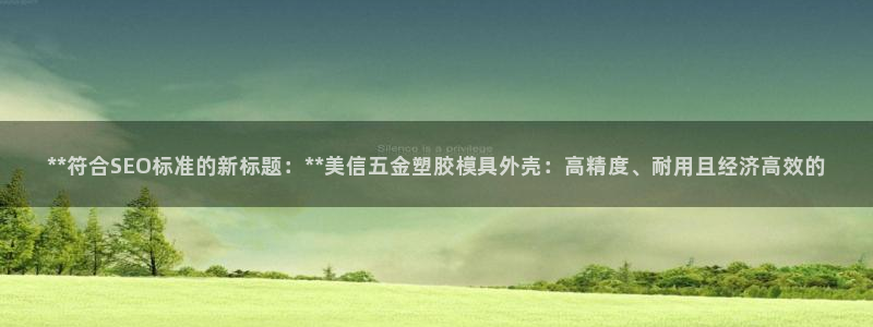 冷太阳演员表：**符合SEO标准的新标题：**美信五金塑胶模具外壳：高精度、耐用且经济高效的