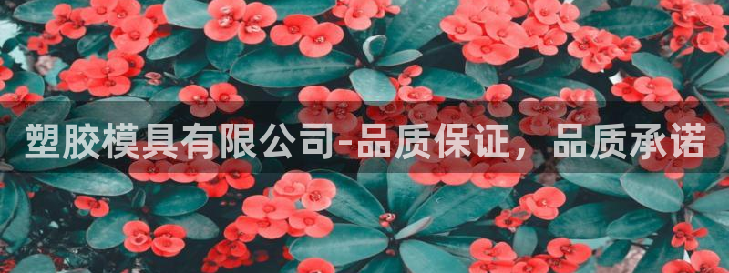 太阳阳城集团太阳卡：塑胶模具有限公司-品质保证，品质承诺