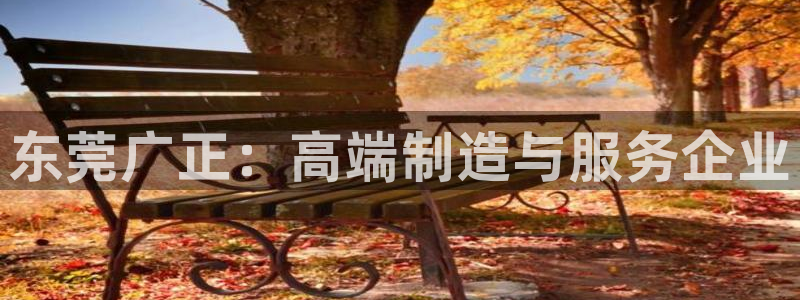 太阳集团是什么电视剧：东莞广正：高端制造与服务企业