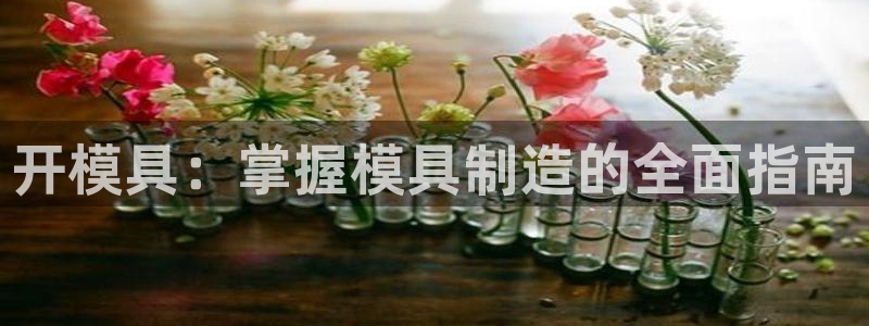 太阳集团电子游戏登录：开模具：掌握模具制造的全面指南