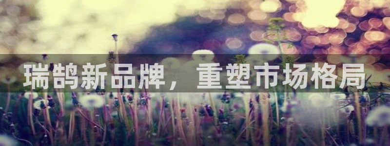 太阳成集团网站取款：瑞鹄新品牌，重塑市场格局