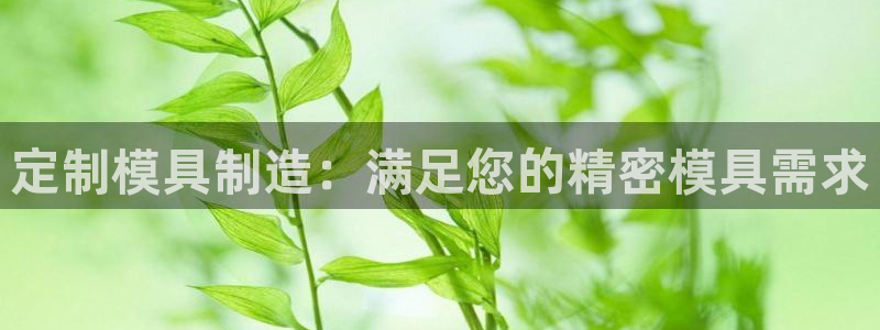 太阳商城贵宾会2017cm：定制模具制造：满足您的精密模具需求