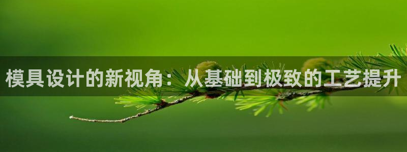 1593太阳集团城所有网址：模具设计的新视角：从基础到极致的工艺提升