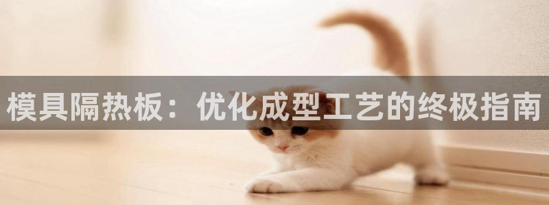 2138cn太阳集团古天乐：模具隔热板：优化成型工艺的终极指南