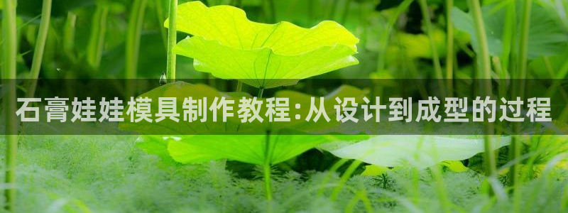 太阳集团董事长是谁照片