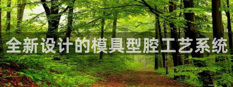 太阳集团2007：全新设计的模具型腔工艺系统