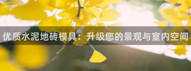 太阳app下载网址进入：优质水泥地砖模具：升级您的景观与室内空间