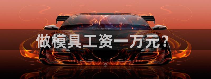 太阳诚集团是干什么的：做模具工资一万元？