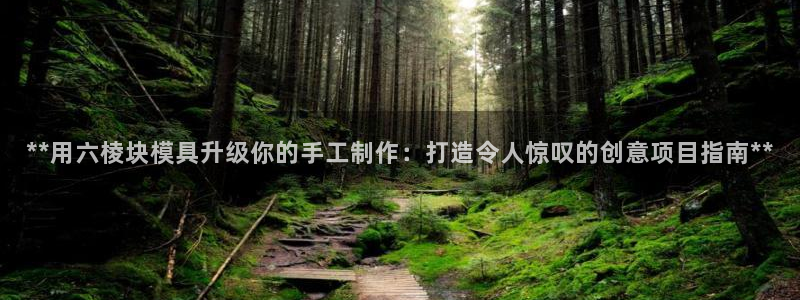 太阳成集团下载：**用六棱块模具升级你的手工制作：打造令人惊叹的创意项目指南**