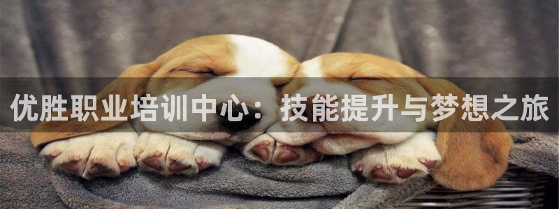 2003网站太阳集团：优胜职业培训中心：技能提升与梦想之旅