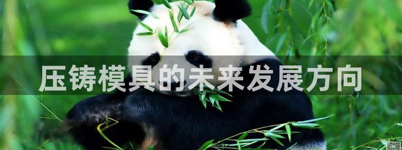 太阳集团董事长是谁呀：压铸模具的未来发展方向