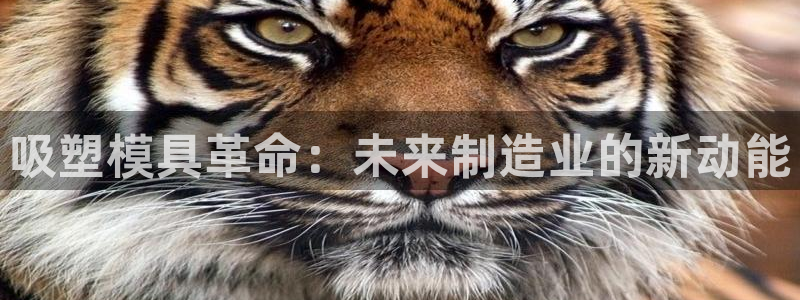 太阳gg娱乐胺44262：吸塑模具革命：未来制造业的新动能