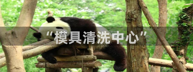 太阳集市网上商城：“模具清洗中心”