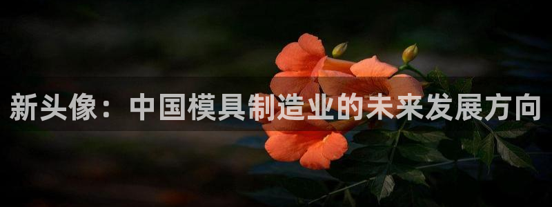 太阳成集团游戏：新头像：中国模具制造业的未来发展方向