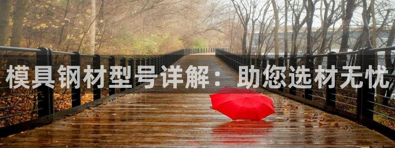 太阳成集团老板是谁：模具钢材型号详解：助您选材无忧
