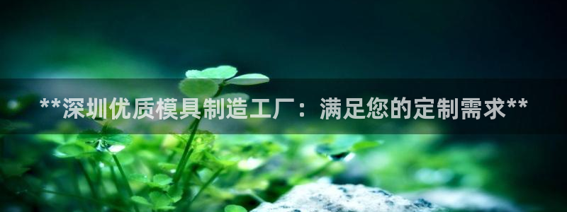 太阳集团2007：**深圳优质模具制造工厂：满足您的定制需求**