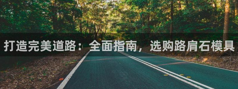 太阳集团游戏城新版138：打造完美道路：全面指南，选购路肩石模具