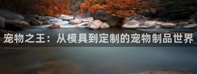 太阳集团怎么样：宠物之王：从模具到定制的宠物制品世界