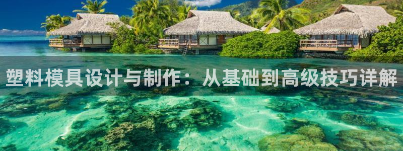 太阳成集团tyc234cc主页网址：塑料模具设计与制作：从基础到高级技巧详解