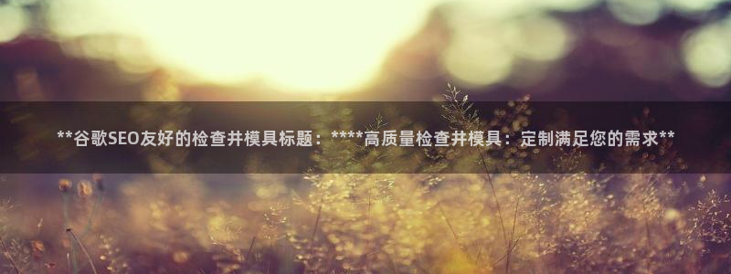 太阳1城集团网址查询：**谷歌SEO友好的检查井模具标题：****高质量检查井模具：定制满足您的需求**