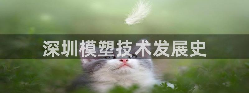 太阳gg登录首页：深圳模塑技术发展史
