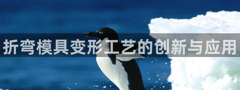 2007so太阳集团下载：折弯模具变形工艺的创新与应用