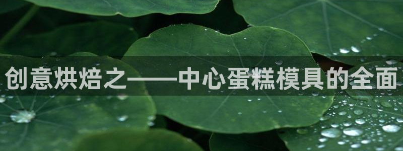 太阳成集团tyc1050：创意烘焙之——中心蛋糕模具的全面