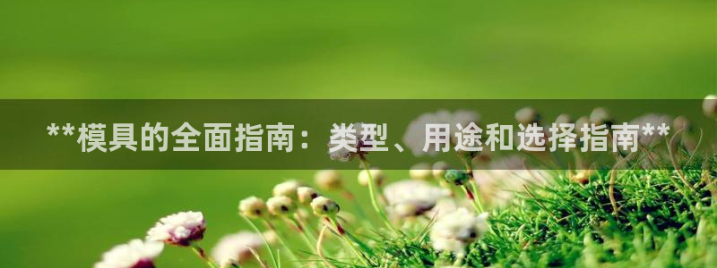 太阳成集团游戏合集：**模具的全面指南：类型、用途和选择指南**