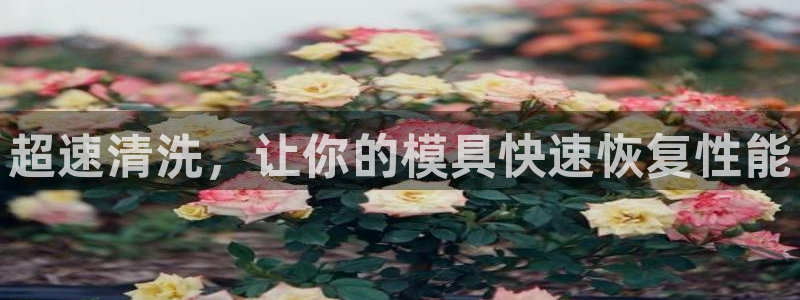 太阳诚集团网址：超速清洗，让你的模具快速恢复性能