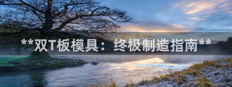 太阳集团董事长的儿子照片：**双T板模具：终极制造指南**