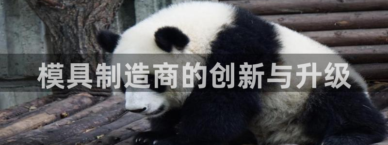 太阳集团市值：模具制造商的创新与升级