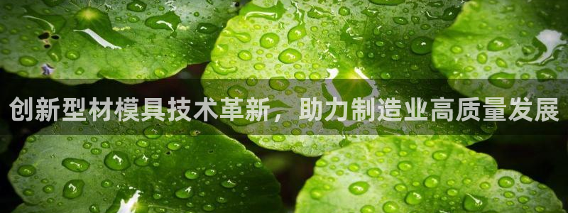 澳门太阳成城集团洗米华：创新型材模具技术革新，助力制造业高质量发展