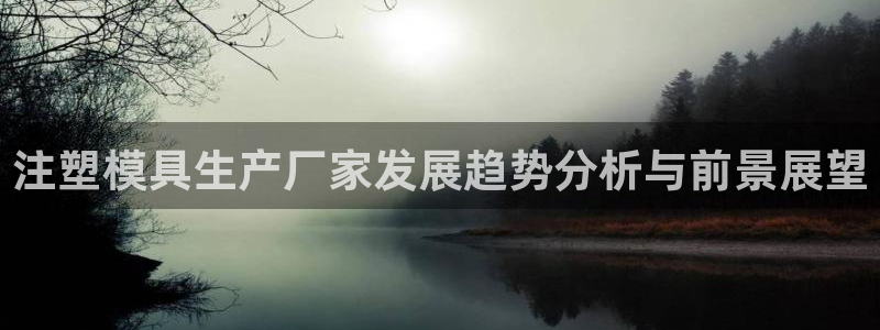太阳集团城登录网址：注塑模具生产厂家发展趋势分析与前景展望