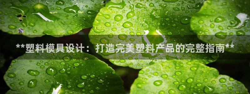 太阳贵宾城：**塑料模具设计：打造完美塑料产品的完整指南**