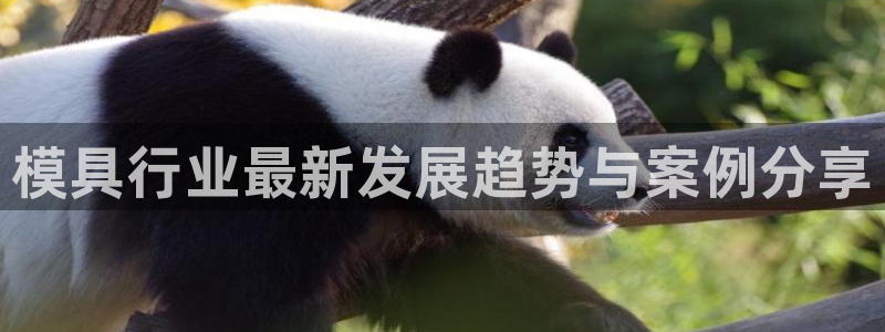 太阳集团城登录网址：模具行业最新发展趋势与案例分享
