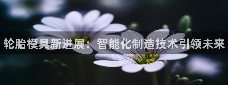 2138cn太阳集团古天乐·网上娱乐：轮胎模具新进展：智能化制造技术引领未来