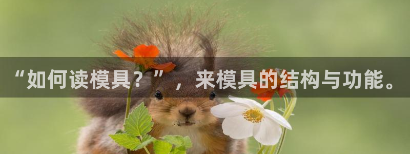 太阳集团总裁：“如何读模具？”，来模具的结构与功能。