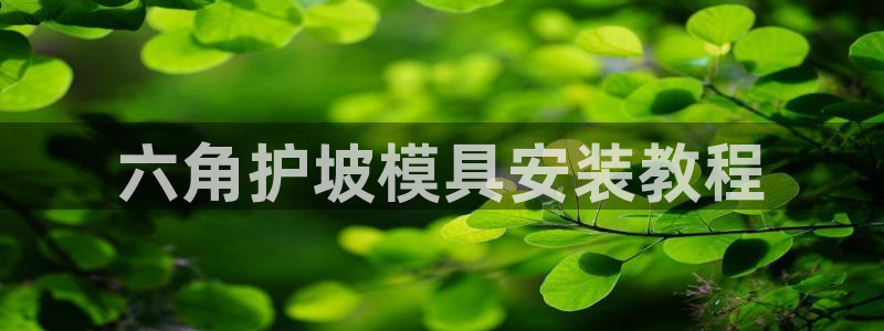 太阳集团是怎样一个公司：六角护坡模具安装教程
