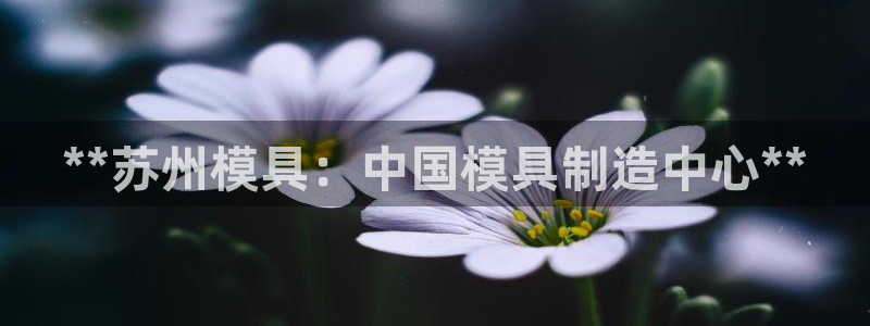 太阳集团app十佳平台：**苏州模具：中国模具制造中心**