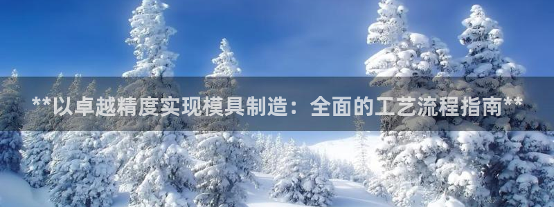 8827太阳集团官网：**以卓越精度实现模具制造：全面的工艺流程指南**