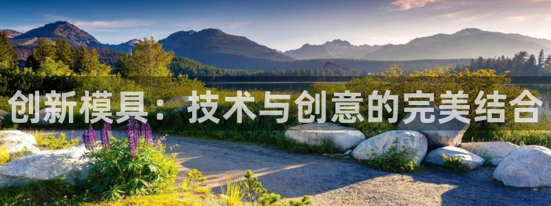 太阳老板是谁：创新模具：技术与创意的完美结合