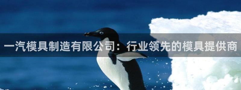太阳集团tcy8722电子游戏：一汽模具制造有限公司：行业领先的模具提供商
