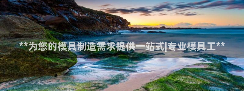 太阳集团股份有限公司官网：**为您的模具制造需求提供一站式|专业模具工**