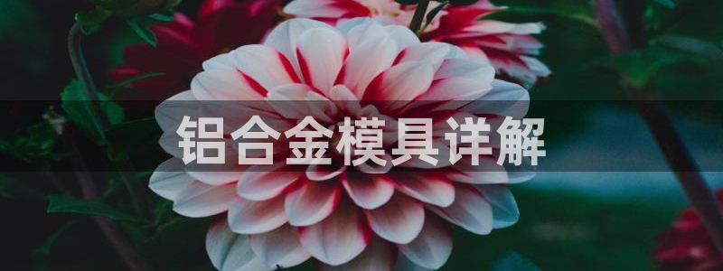2018太阳集团游戏网站