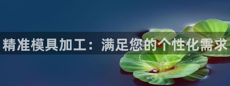 1593太阳集团城所有网址：精准模具加工：满足您的个性化需求