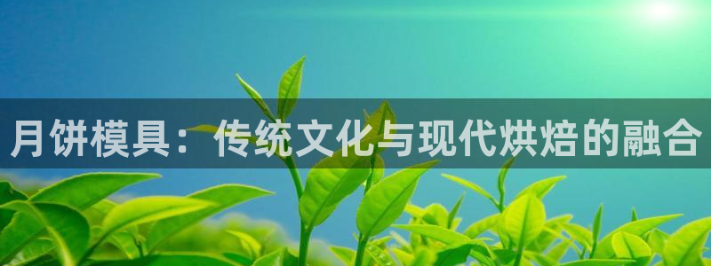 太阳集团入口官网首页：月饼模具：传统文化与现代烘焙的融合